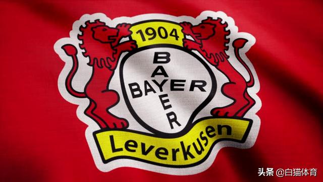 只有极个别俱乐部队徽融入了企业元素,比如德甲的莱比锡rb,勒沃库森