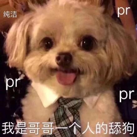 斗图表情包合集|你这个卑鄙的美女