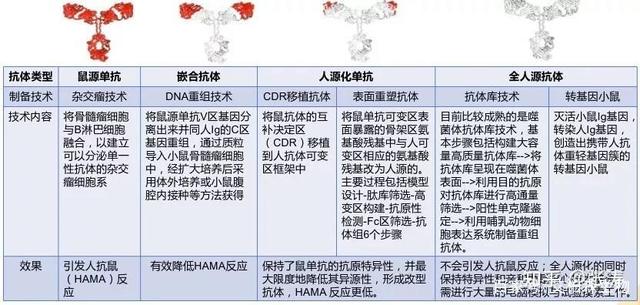 人体免疫球蛋白分类图片