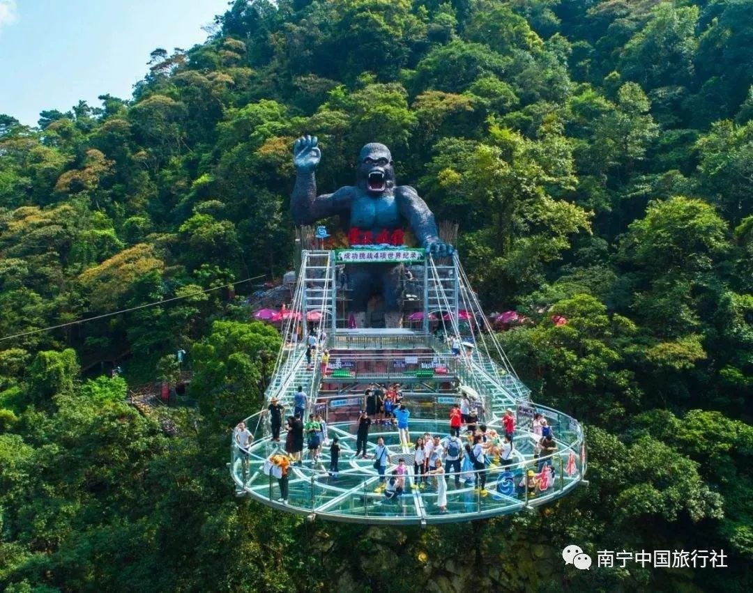 广州清远肇庆开平佛山顺德美食之旅年初二初三出发去广东过大年