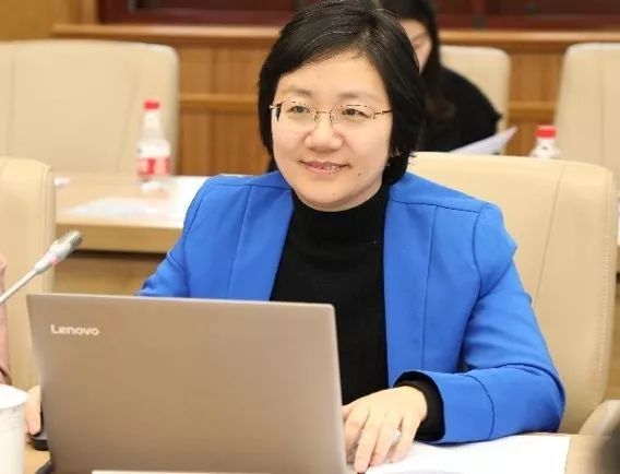 吴瑛,上海外国语大学新闻传播学院教授,博导,中国国际舆情研究中心副