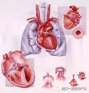 孕期胎儿心脏常见问题(三):永存左上腔静脉