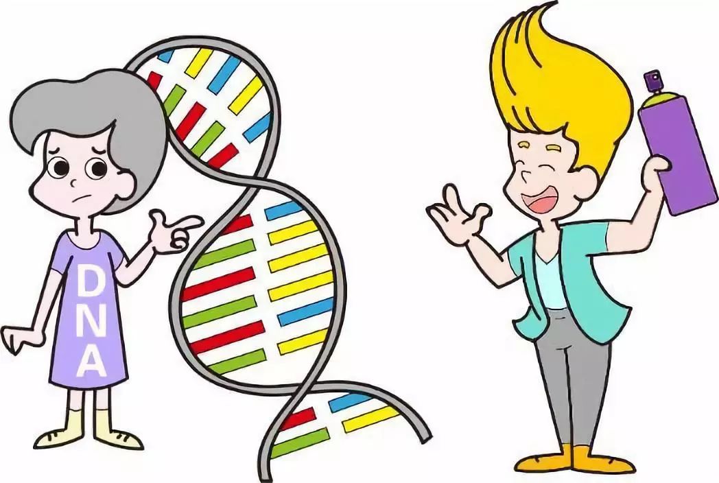 科技公开课 | 最顶级的造型师,名叫cas9……_基因