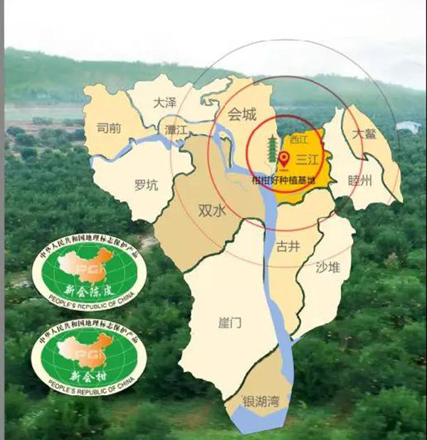 陈皮先生新会陈皮核心生产商