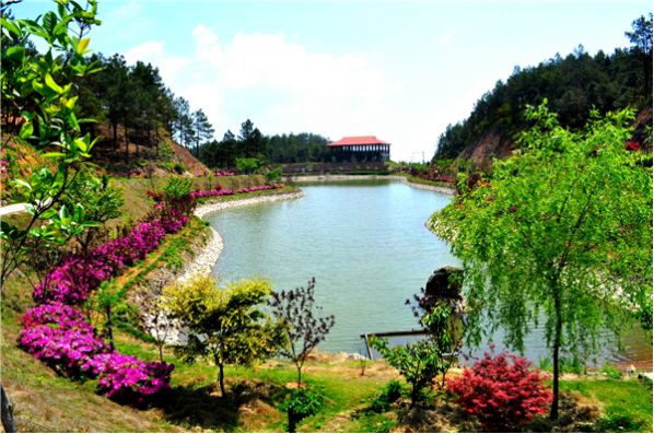 太霸气了南安登上纽约时报广场大屏这下要成为世界网红了