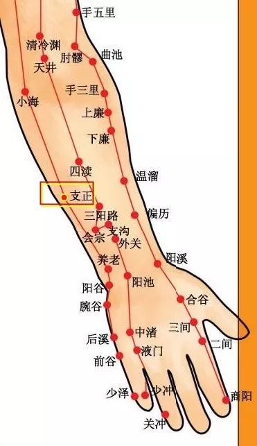 穴位知识十二经脉手太阳小肠经之支正穴