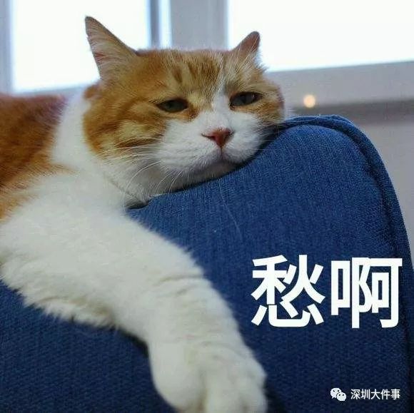 反复开挖有人无奈搬家深圳挖路有新规这些行为被禁止