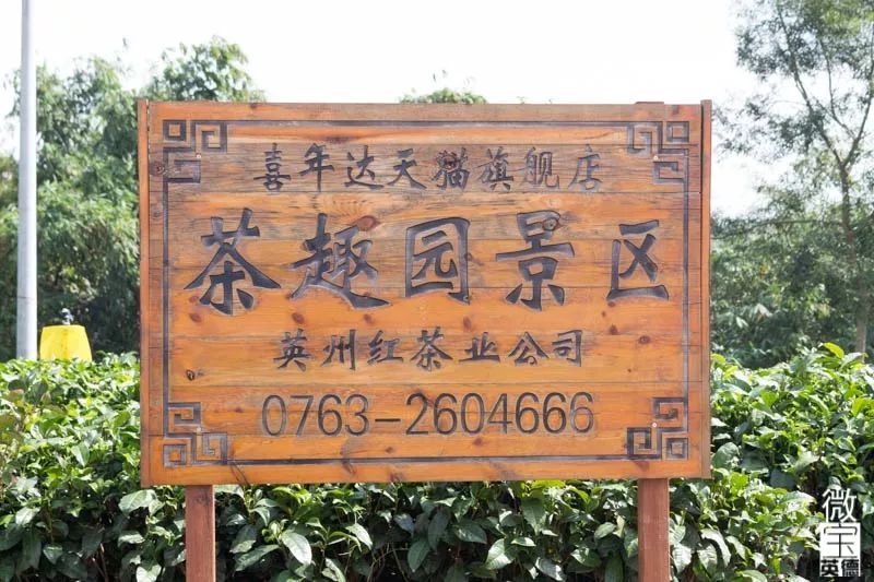茶趣园景区地址图片