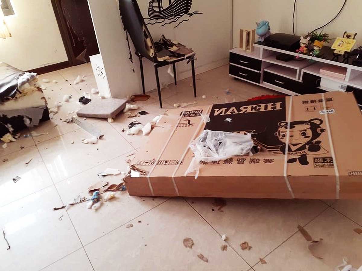 主人将狗锁进铁笼,但家具依然全被咬烂,知道原因后,差点被气哭