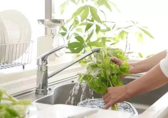 冬天家家都有的4种 废水 浇花太好用了 花草越长越茂盛 雪水