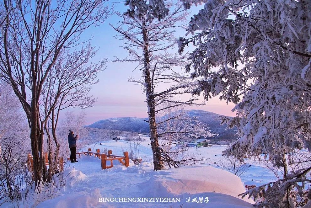 张艺谋新作悬崖之上在雪乡开拍带你看看拍摄地羊草山有多美