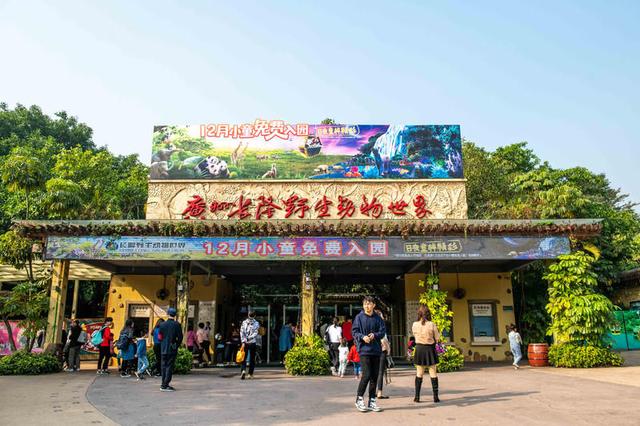 24小时玩转广州长隆野生动物世界 大马戏全攻略,去圆五彩斑斓