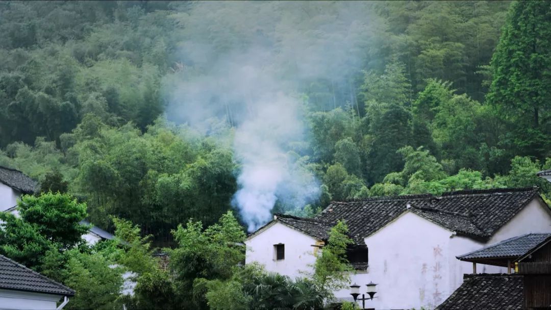 鸬鸟山沟沟图片