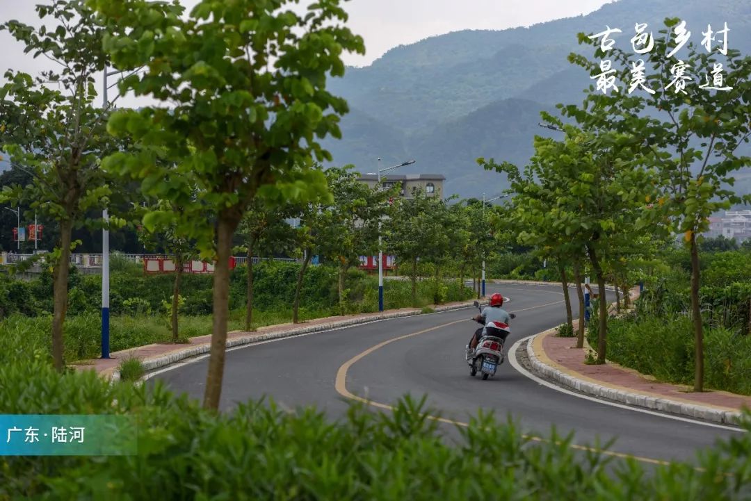 跑陆马看陆河⑥走进中国营商环境百佳试点县