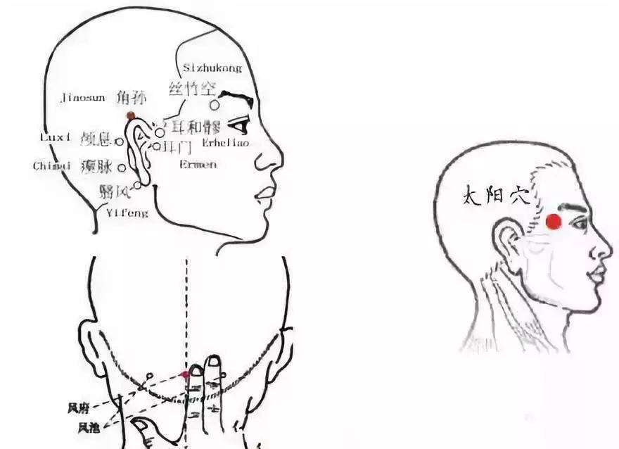 肝经头部经络图解图片