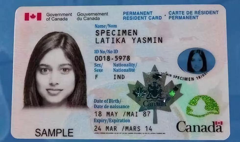 拿了枫叶卡就能一劳永逸了吗?