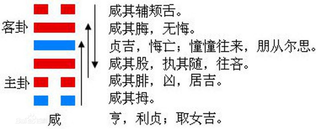 每日运势解读【12月26日,星期四】