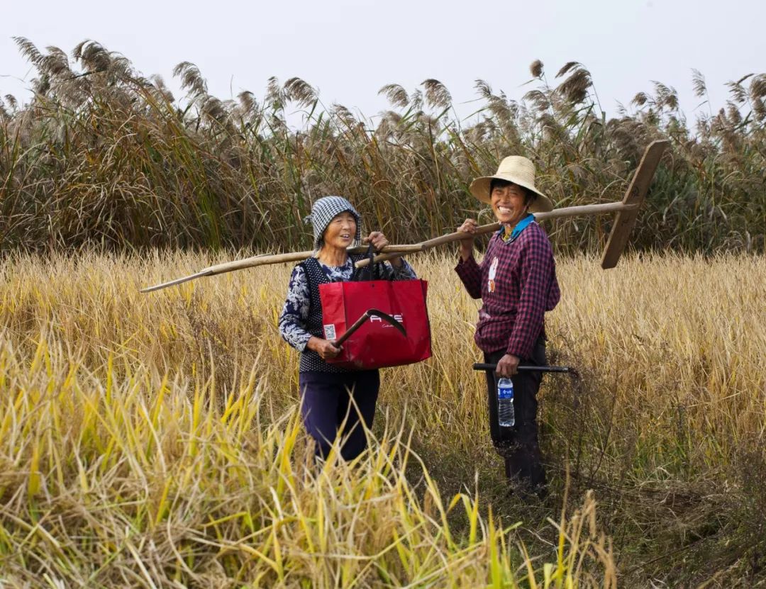 集镇动态先睹为快栏杆集镇光影栏杆摄影大赛获奖作品新鲜出炉啦