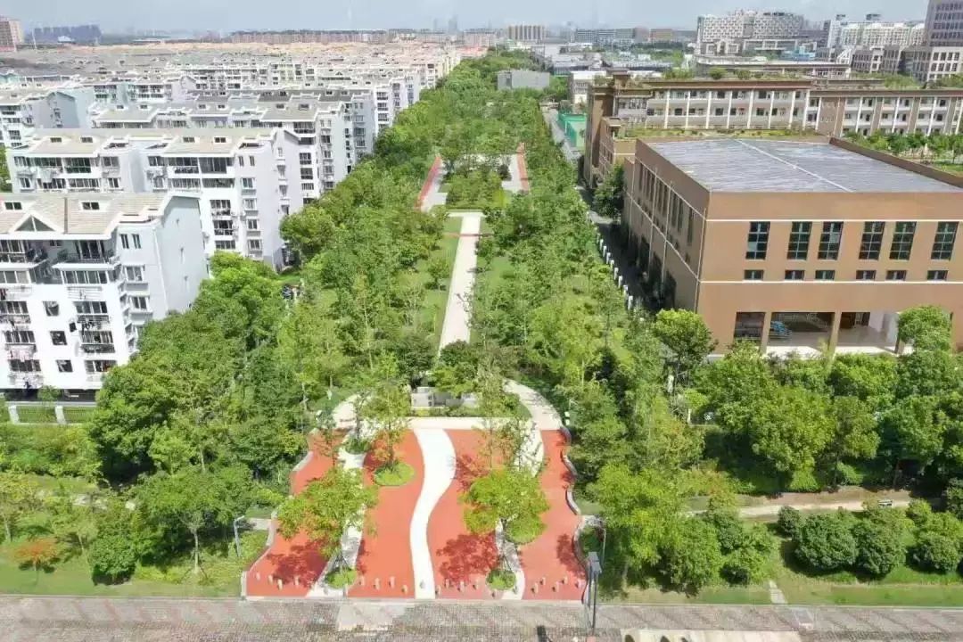 浦锦街道成功创建为上海市园林街镇
