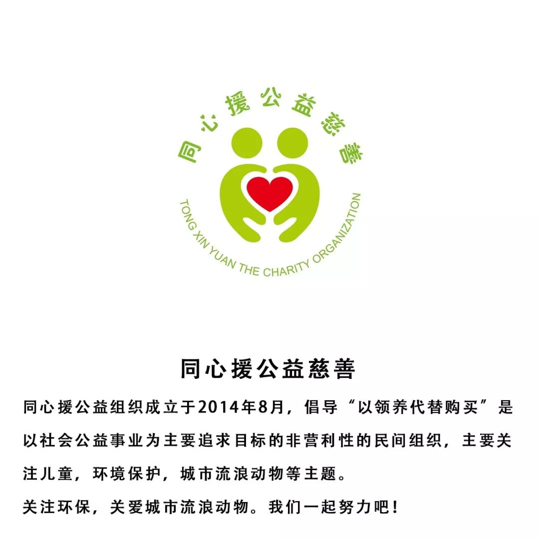 那山市集艺术展厅里的cafe趴体2019最后一周暖心开业