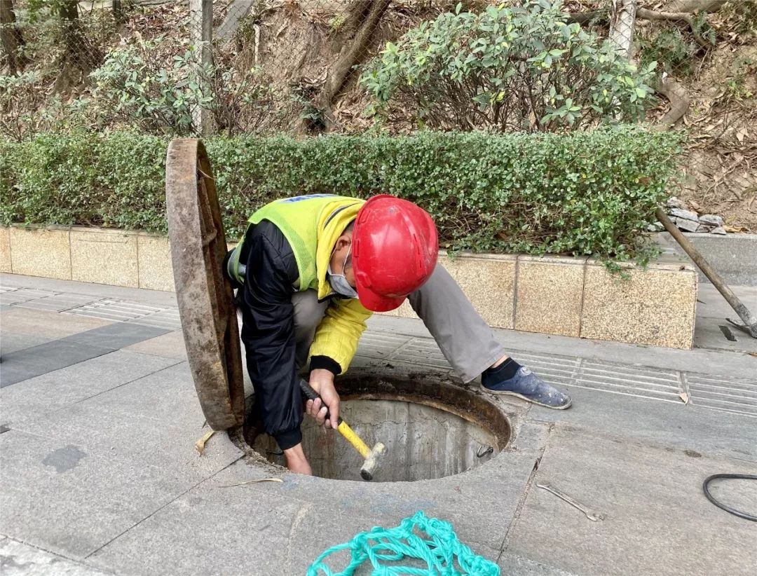 莞城排查安裝雨水井口防墜網保障市民出行安全