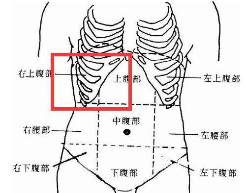 吴济堂 感染幽门螺旋杆菌有哪些症状?出现这几个症状请及时治疗