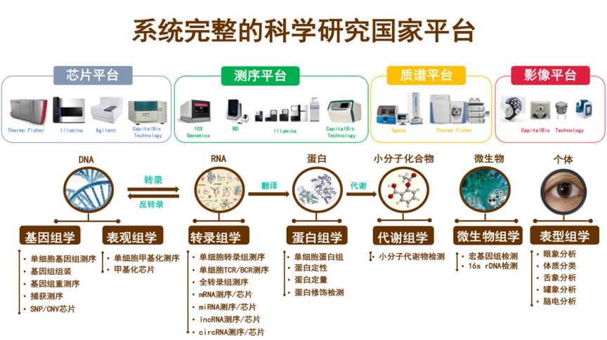 年终盘点分子组学助力中医药研究博奥支持中医药研究科研文献荟萃