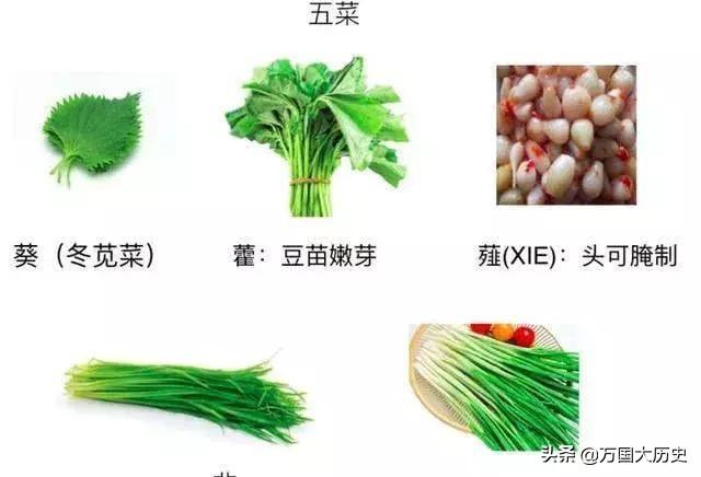 来这些蔬菜大部分都是野菜,到了秦汉时代常吃的蔬菜有五种,称作"五菜"