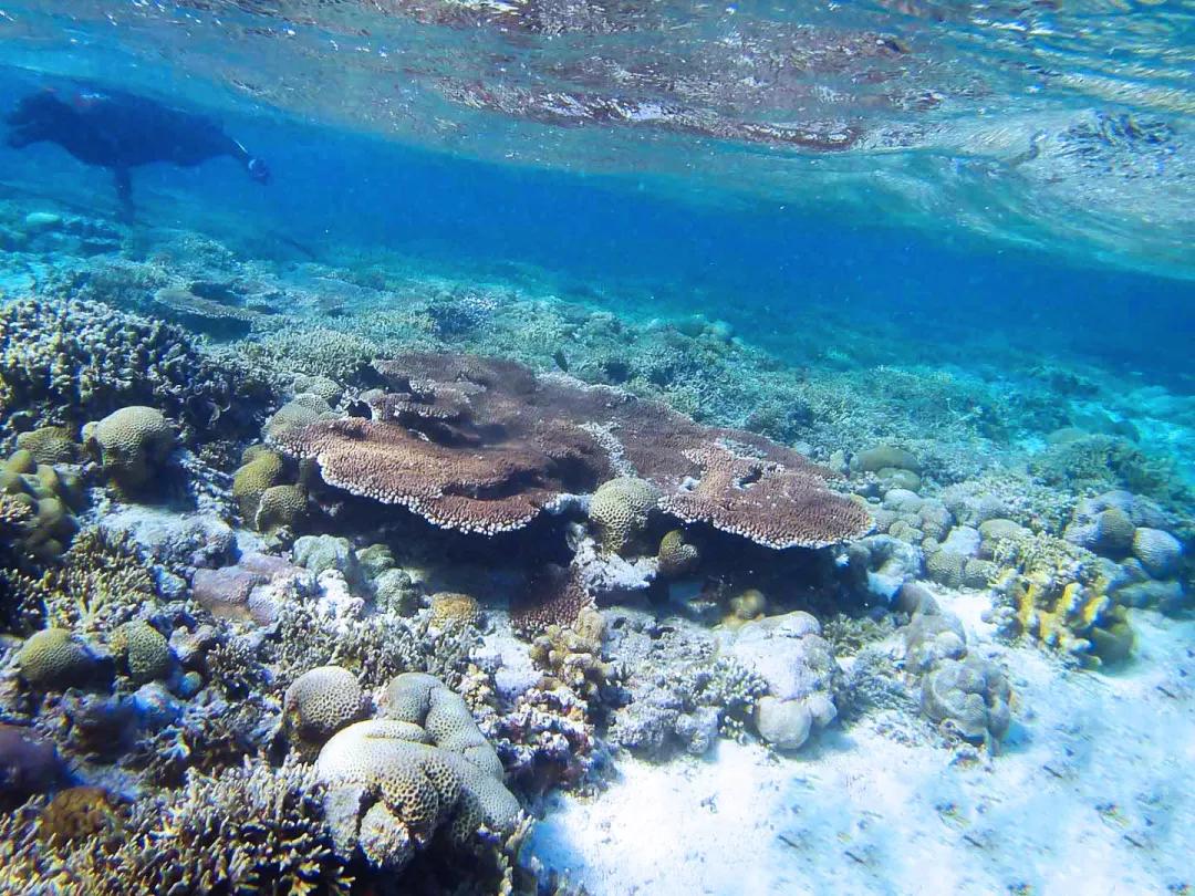 12月行程回顾年末flag西沙群岛打卡