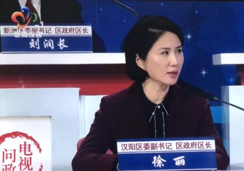 汉阳区委副书记,区政府区长徐丽:我认为应该要优化,而且能够去优化.