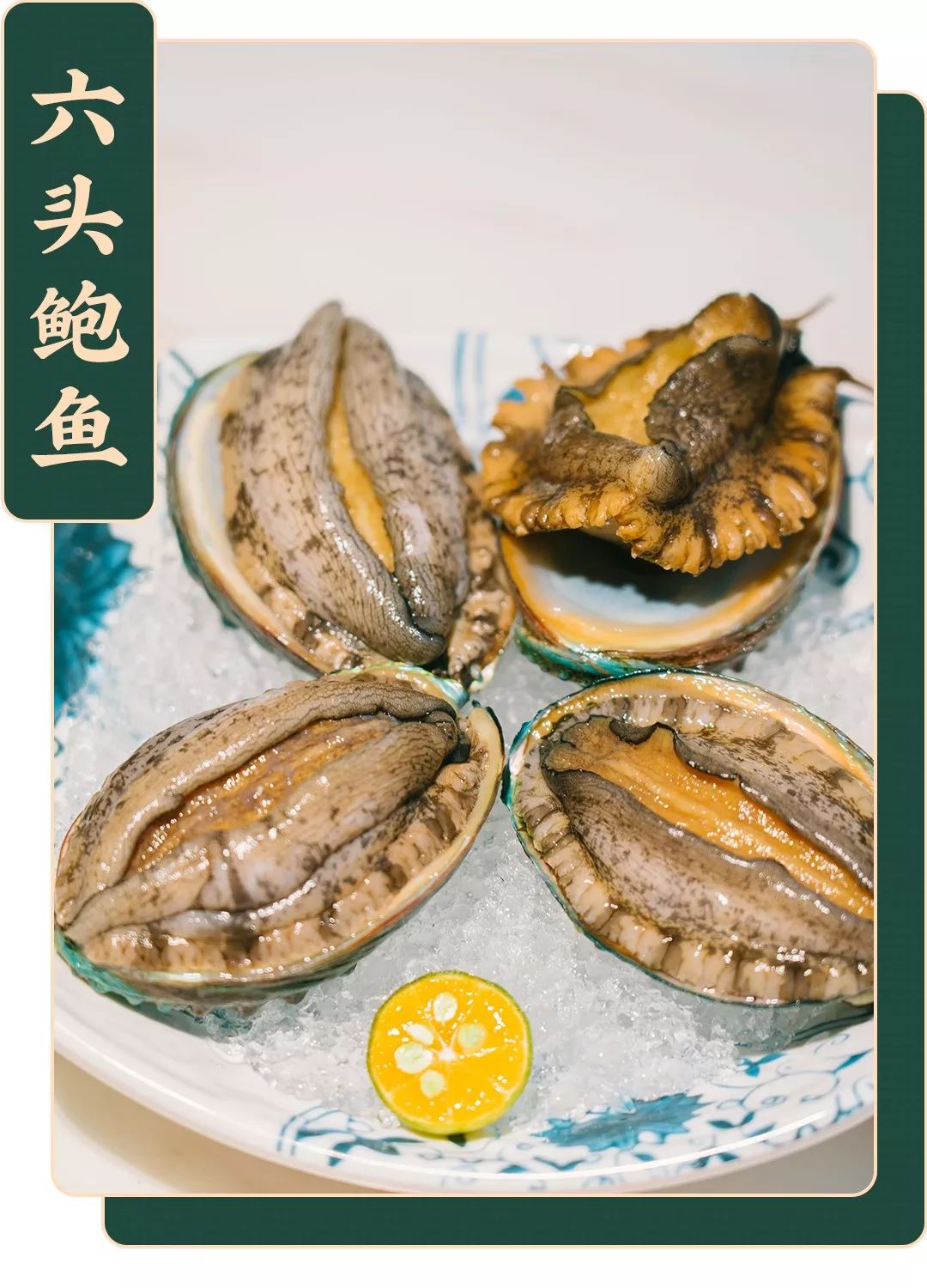 这里的鲍鱼成精了!瞧这扭动的舞姿,新鲜度毋庸置疑.