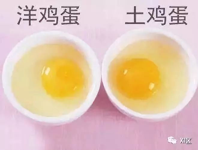 土鸡蛋和洋鸡蛋有啥区别?扫个ct看一看