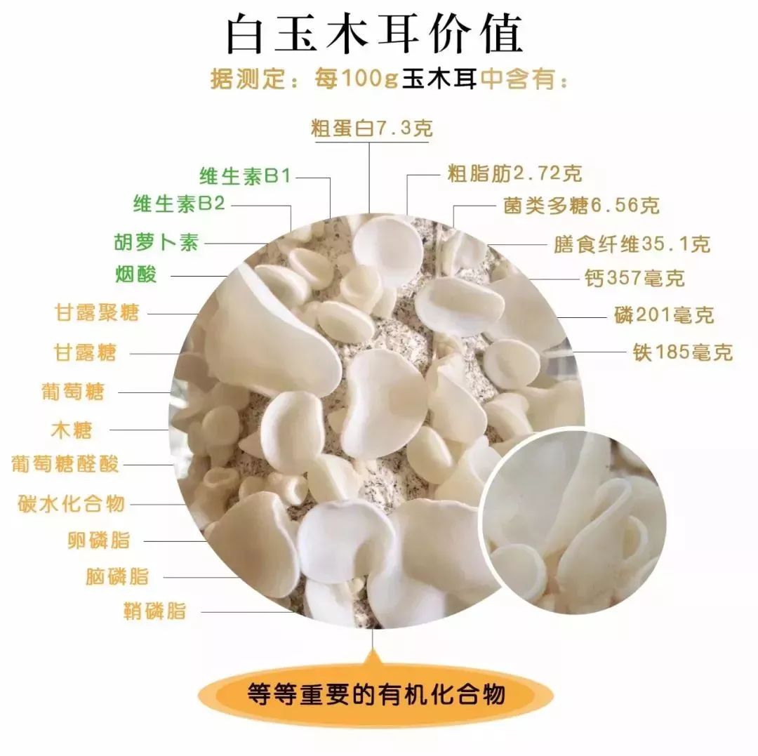 每天吃点玉木耳,皮肤水嫩无倦容,身轻如燕精神爽_白玉
