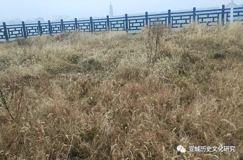 家乡|晨辉夕照映乡愁——水阳记忆