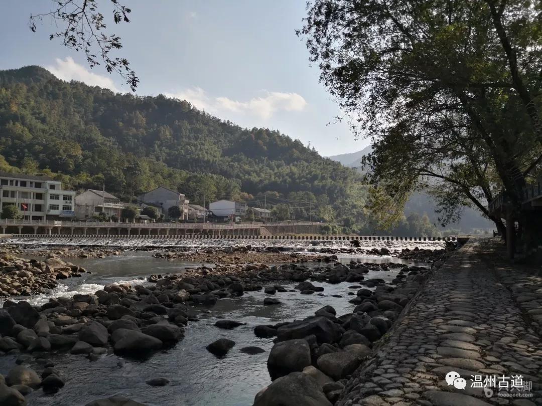 栈道长亭外,古道边苔泰古道三兴村苔湖岭古道大片枫树苔湖岭古道下去