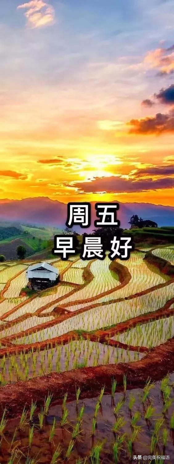 週五最新漂亮早安問候祝福唯美圖片清晨最美暖心的問候祝福語句