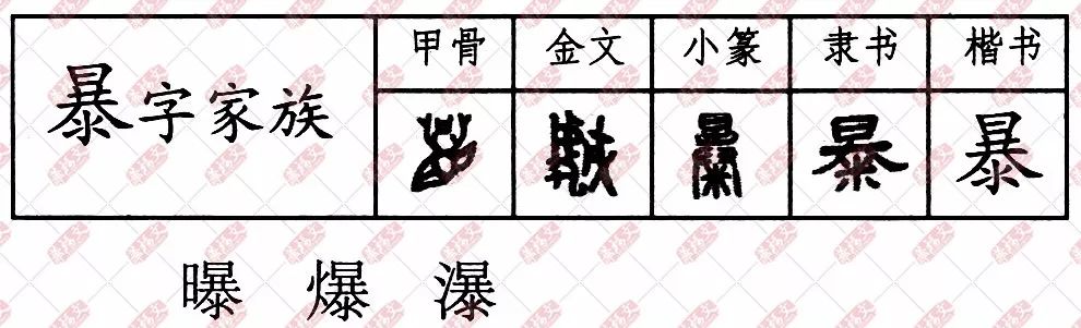 双法字理暴字家族