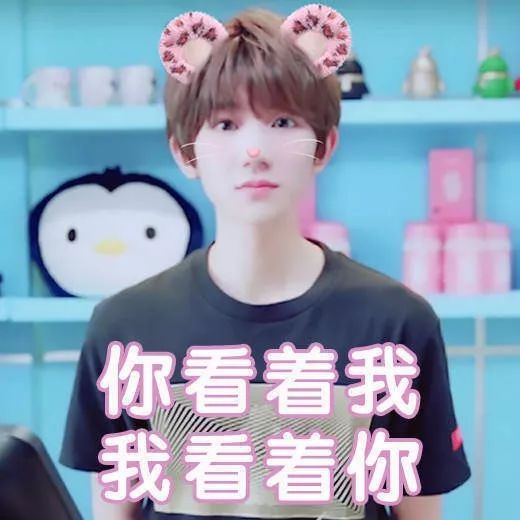 tfboys微信聊天表情包