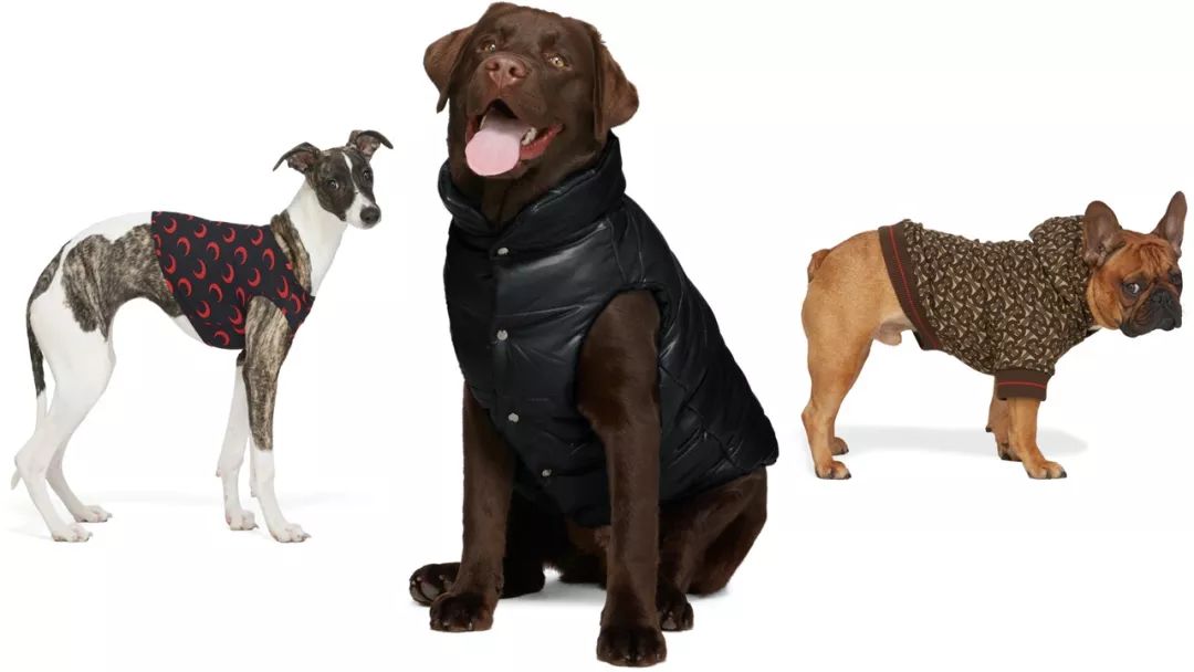 时尚芭莎90秒|潮牌联名奢侈品,我联你