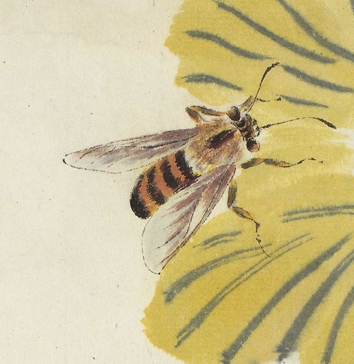 █齐白石的花鸟虫鱼