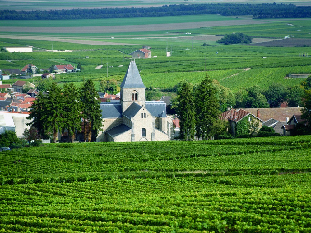 休闲农业发展新趋势庄园经济如何开发