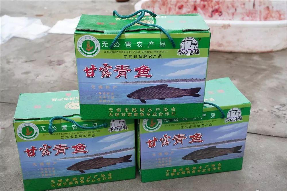 荡口古镇甘露青鱼文化节明日开幕爆鱼鱼圆烧划水还有年货买买买