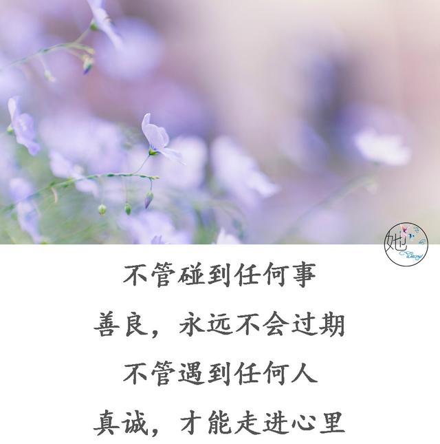 做人,要真诚;处事,要善良(说的真好)