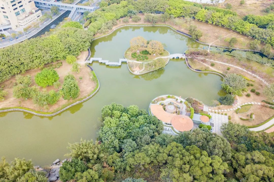 選出我最喜愛的公園我們自家的公園虎門公園需要您的支持