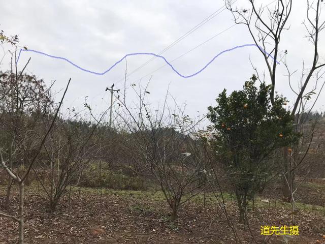 猛虎下山好地方前朝官帽贵气足道先生讲风水案例