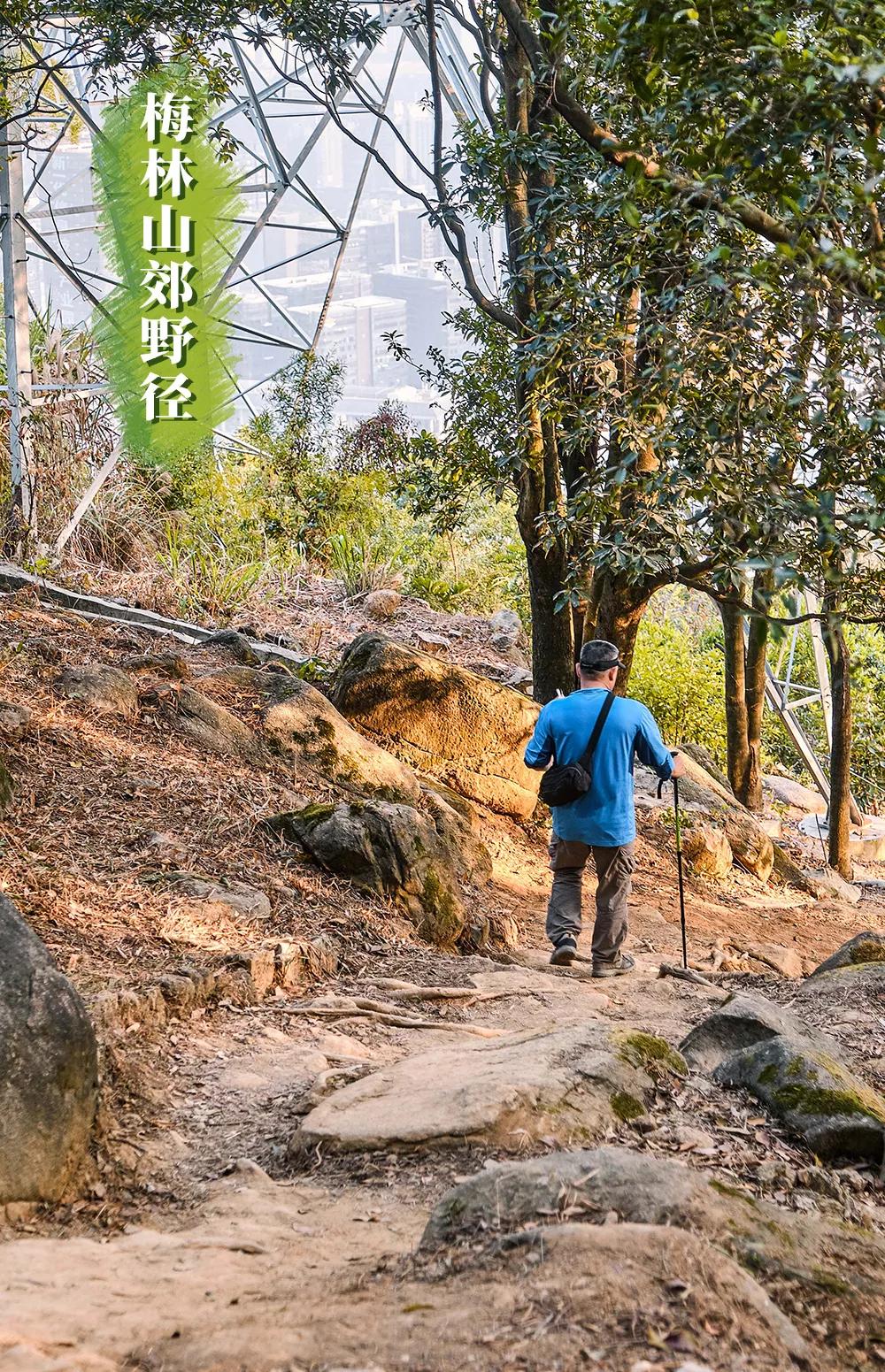 深圳极少人知道的"原始登山道",比梧桐山神秘!比羊台山有趣!