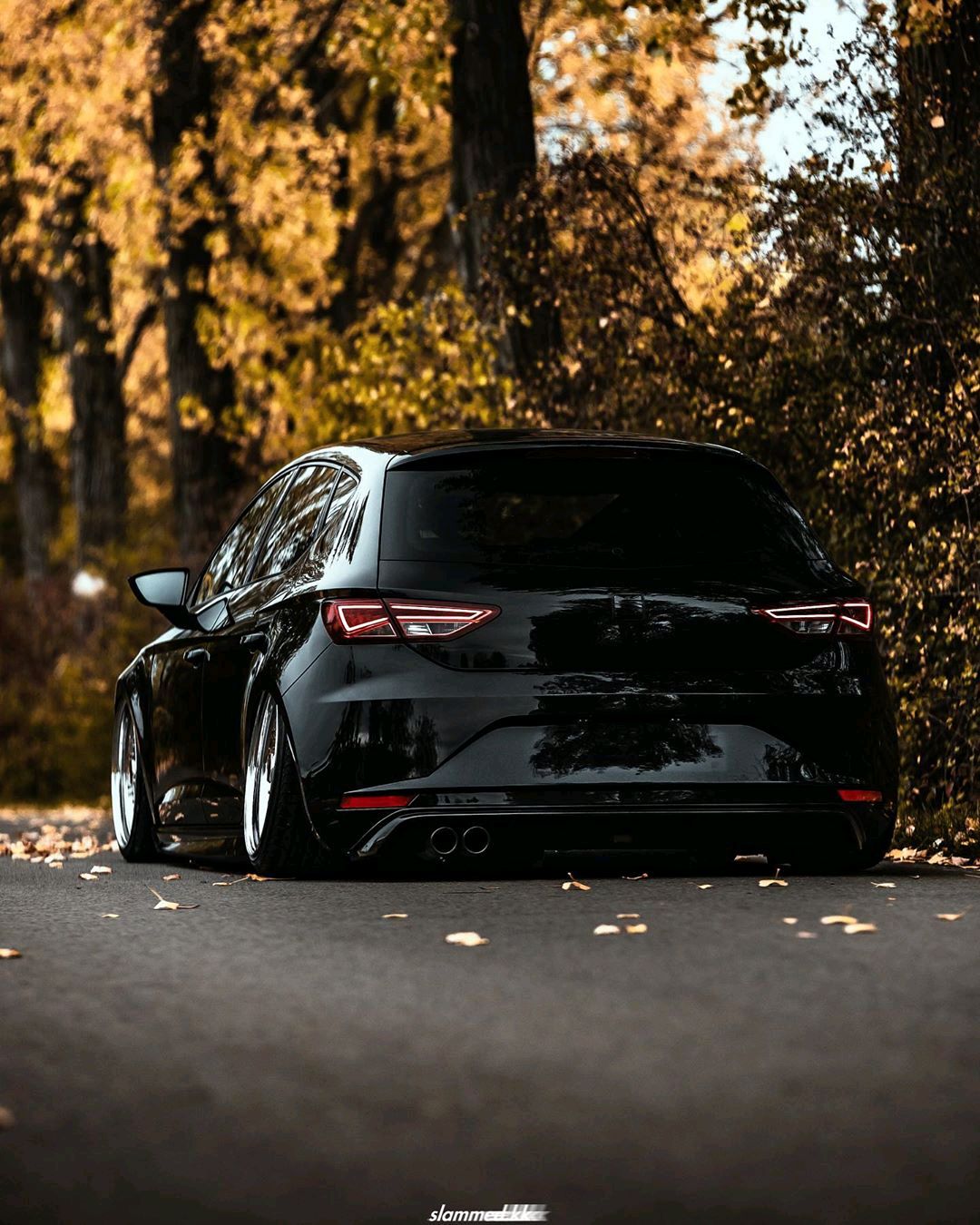 黑武士西雅特leon,大众中的小小众