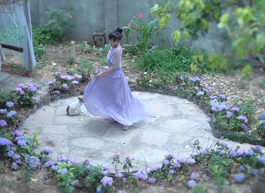 让780万外国人痴迷的李子柒:没有一个字夸中国好,但讲好了中华文化