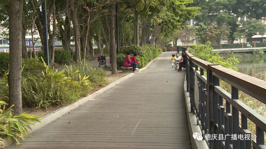 德庆龙湖水长期得不到活水补充水质劣化新水源来了