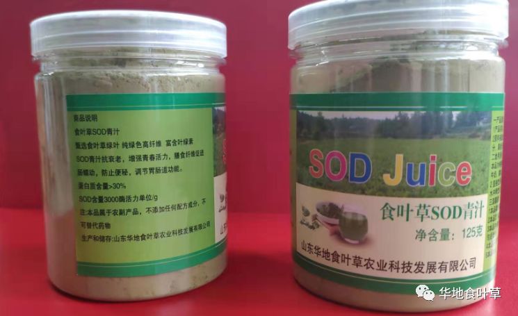神奇的食叶草蛋白草粉